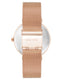 Nine West Silver Dial Analog Watch For -  Ladies NW-3062SVRG